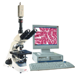 顯微圖像分析系統
